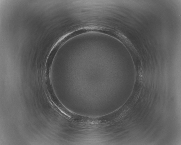 X0000080150484200612081326