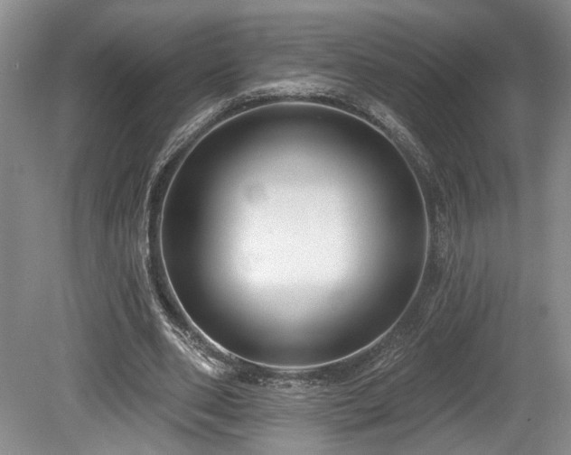 X0000080150486200612081325