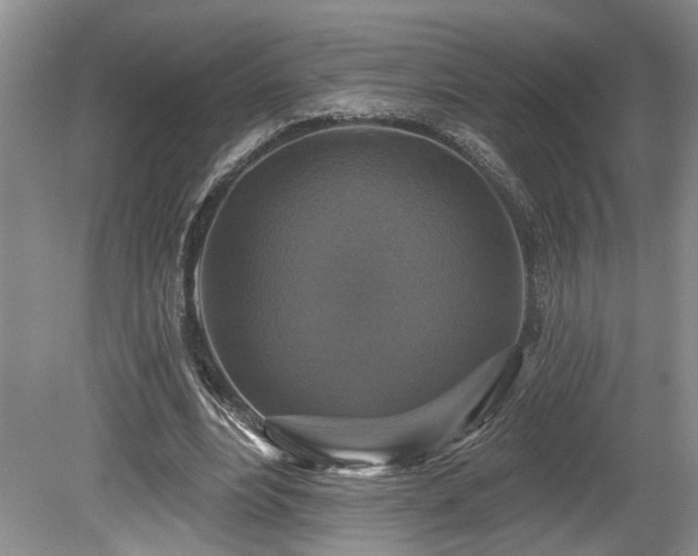 X0000080150488200612081325