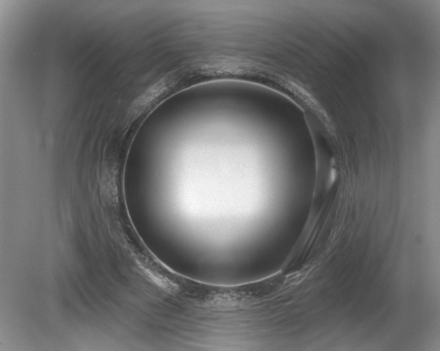 X0000080150489200612081325