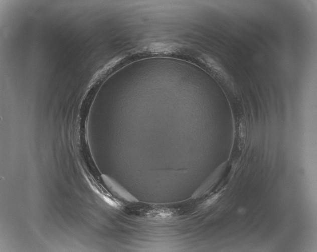 X0000080150492200612081325
