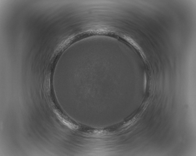 X0000080150493200612081325