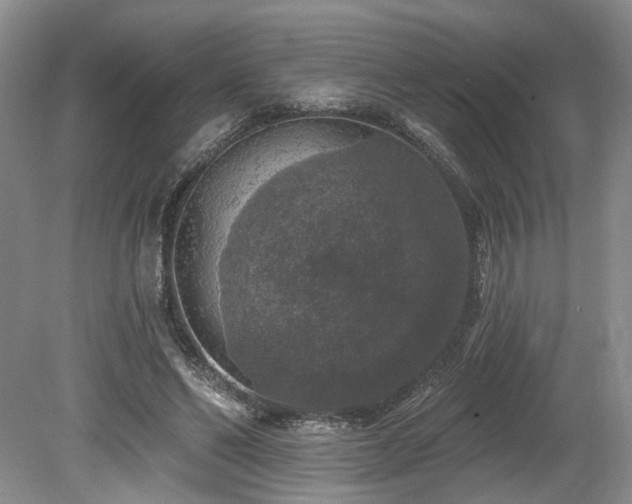 X0000080150494200612081325