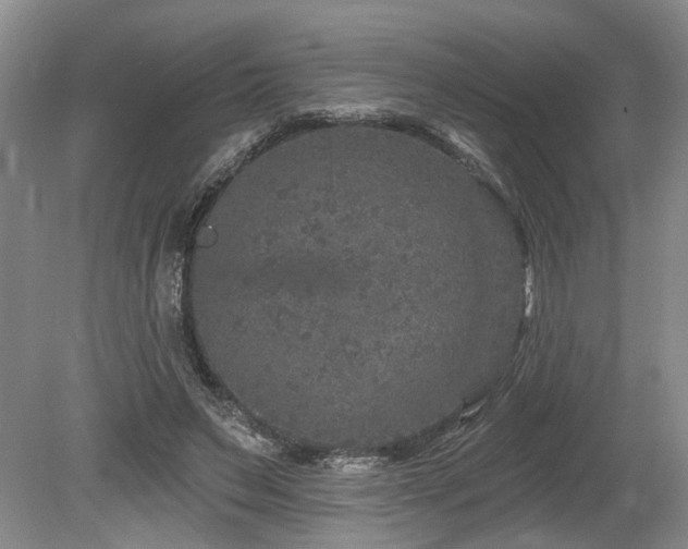 X0000080150495200612081325