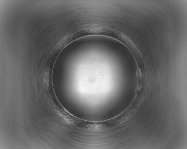 X0000080150497200612081325