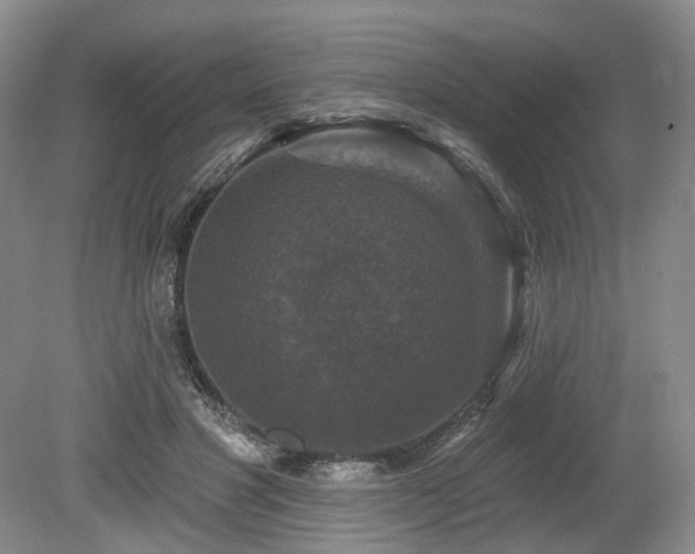 X0000080150501200612081325