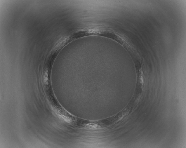 X0000080150502200612081325