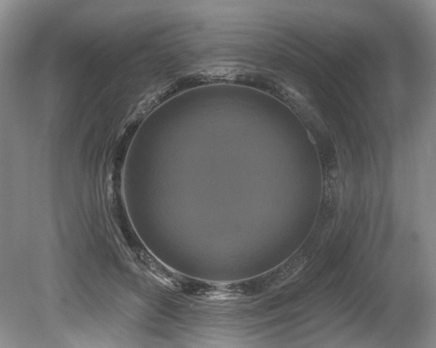 X0000080150504200612081325