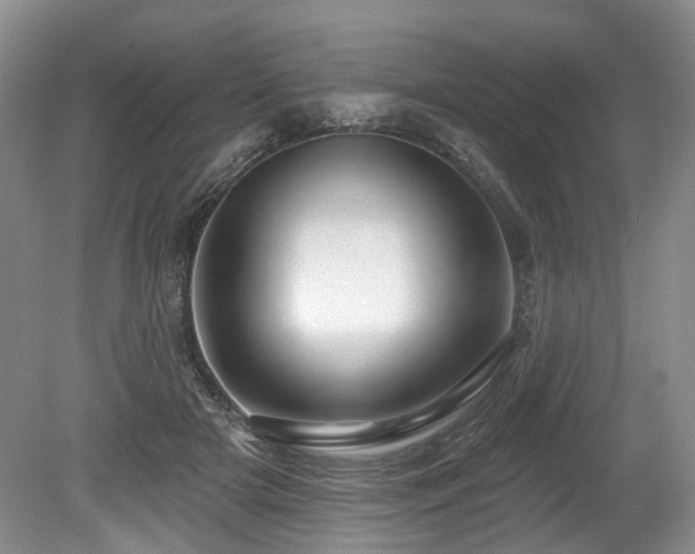 X0000080150505200612081325