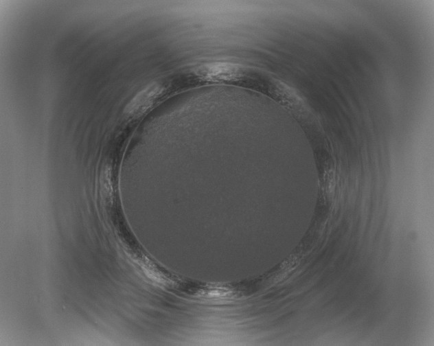 X0000080150506200612081325