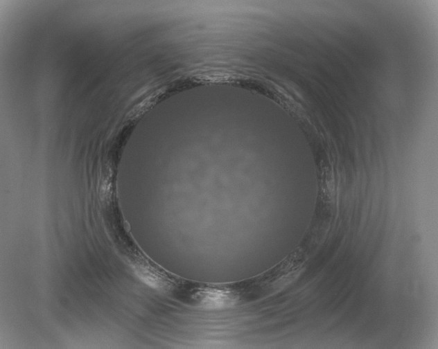 X0000080150507200612081325
