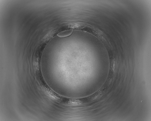 X0000080150510200612081325