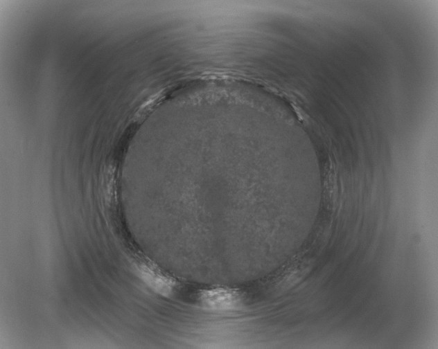 X0000080150511200612081325