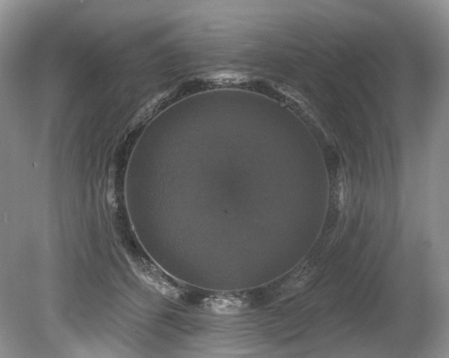 X0000080150512200612081325