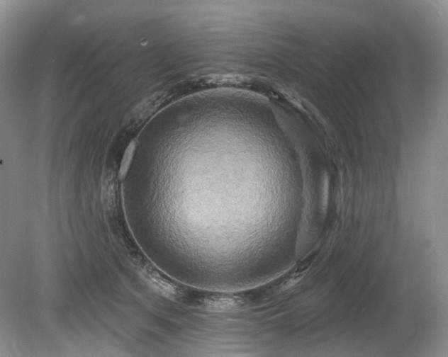 X0000080150513200612081325
