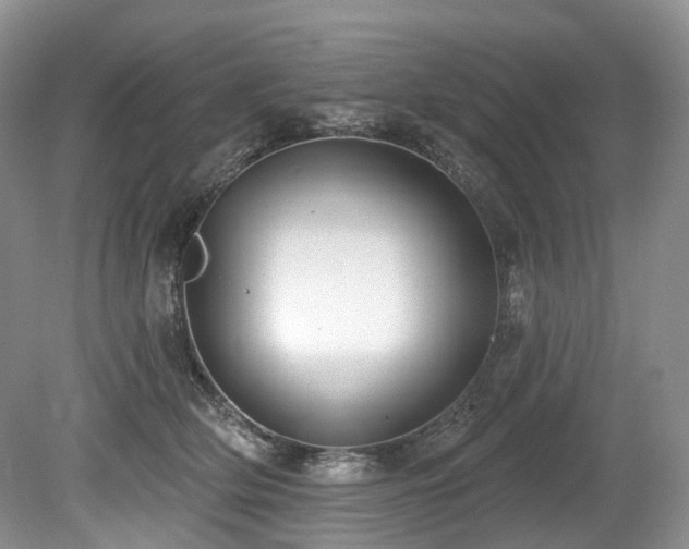 X0000080150514200612081325