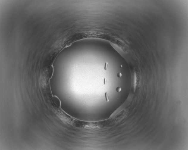 X0000080150515200612081325