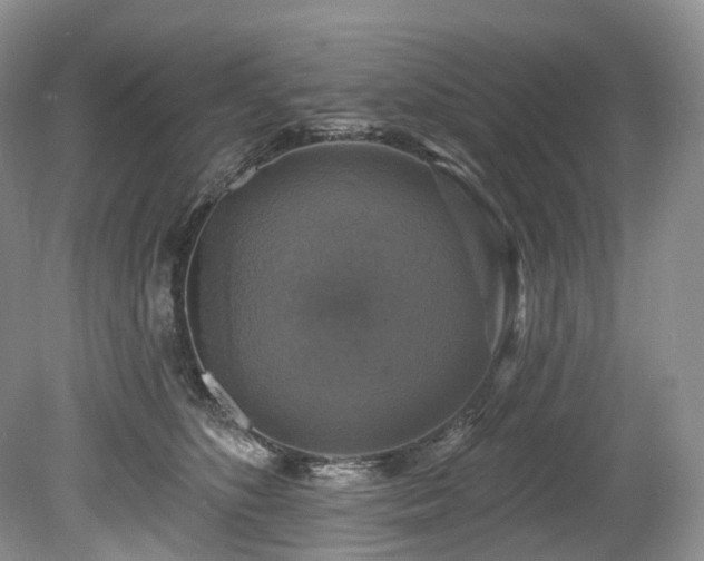 X0000080150516200612081325