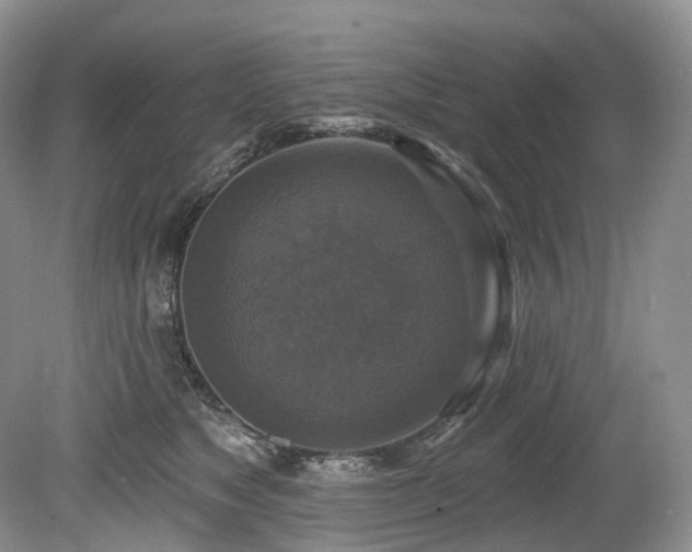 X0000080150517200612081325