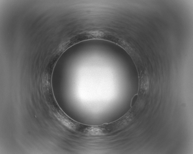 X0000080150518200612081325