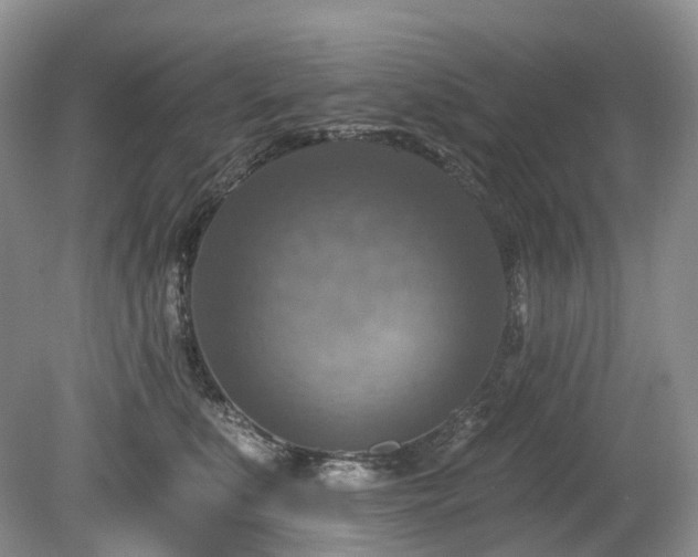 X0000080150519200612081325