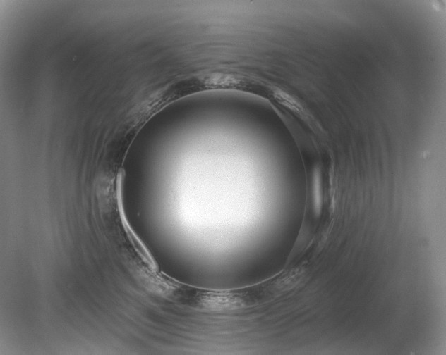 X0000080150521200612081325