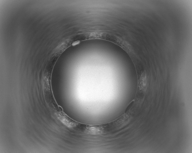 X0000080150522200612081325