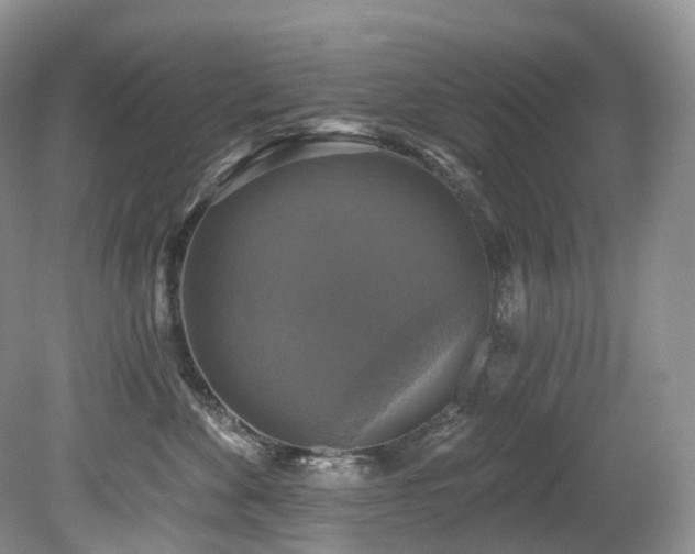 X0000080150524200612081325