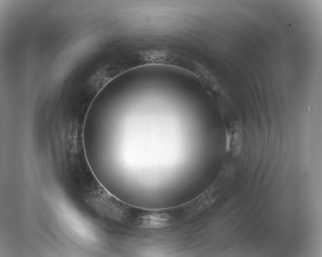 X0000080150525200612081325