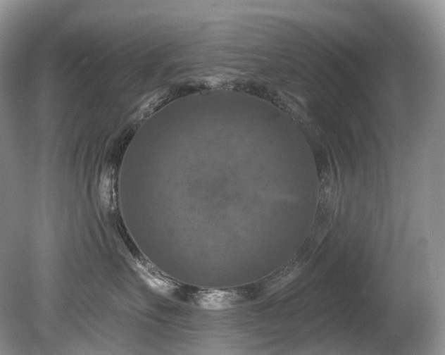 X0000080150527200612081325