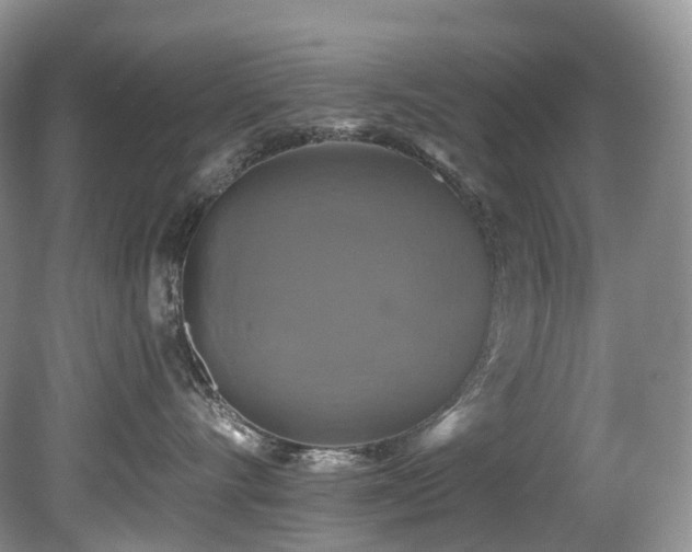 X0000080150528200612081325