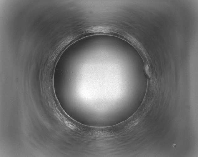 X0000080150529200612081324
