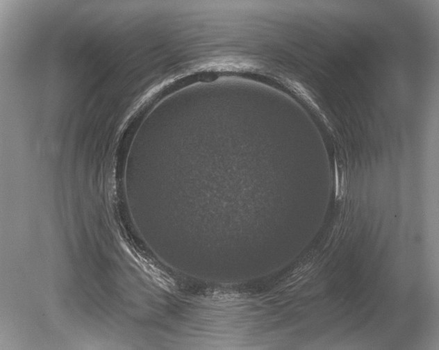 X0000080150531200612081324