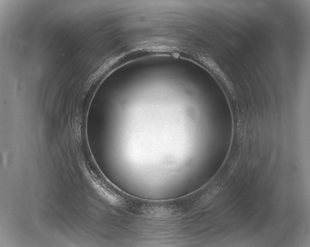 X0000080150533200612081324