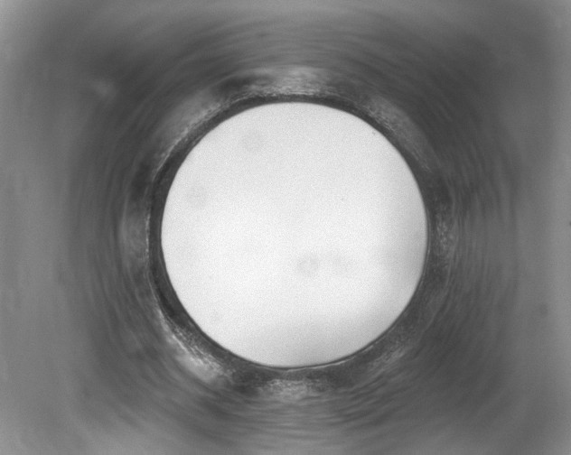 X0000080150534200612081324