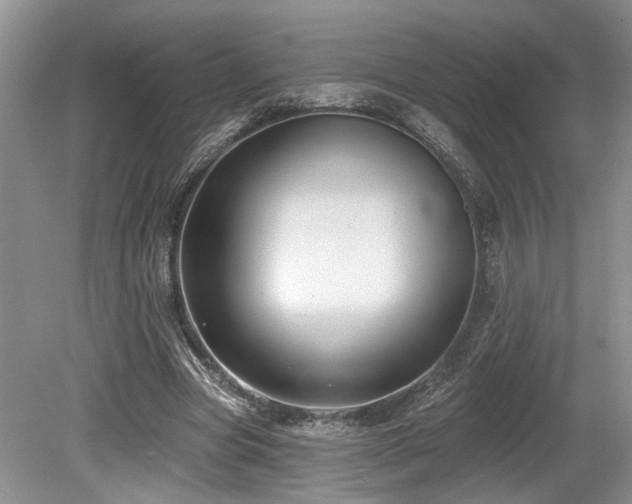 X0000080150537200612081324
