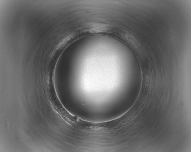 X0000080150539200612081324