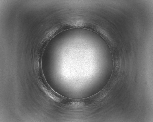 X0000080150541200612081324