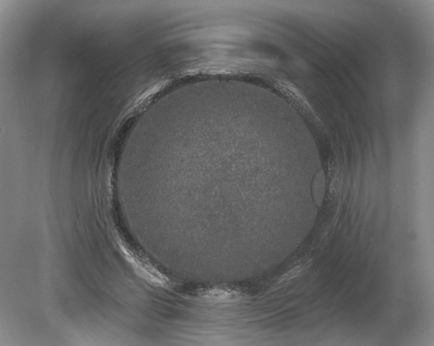 X0000080150542200612081324
