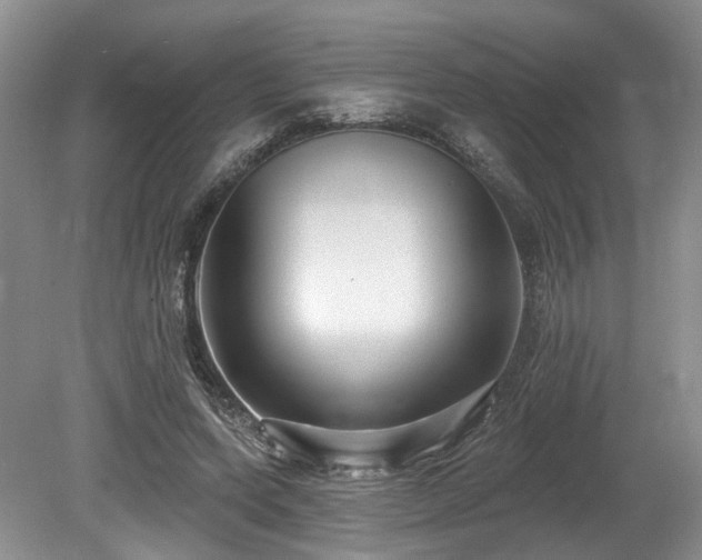 X0000080150543200612081324