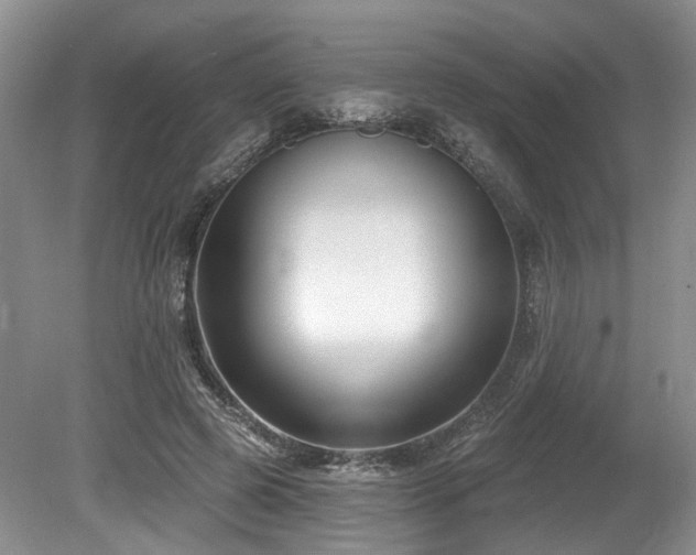 X0000080150545200612081324
