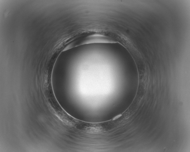 X0000080150548200612081324