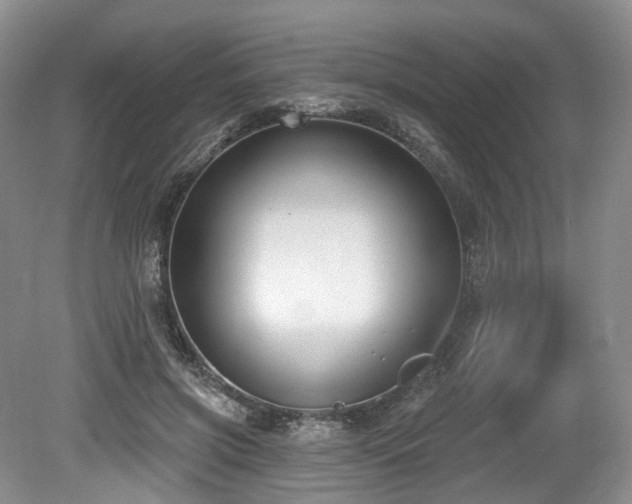 X0000080150549200612081324