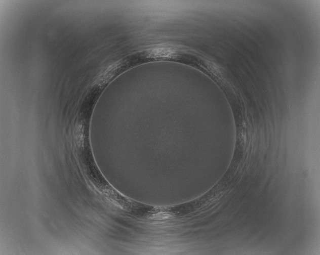 X0000080150551200612081324