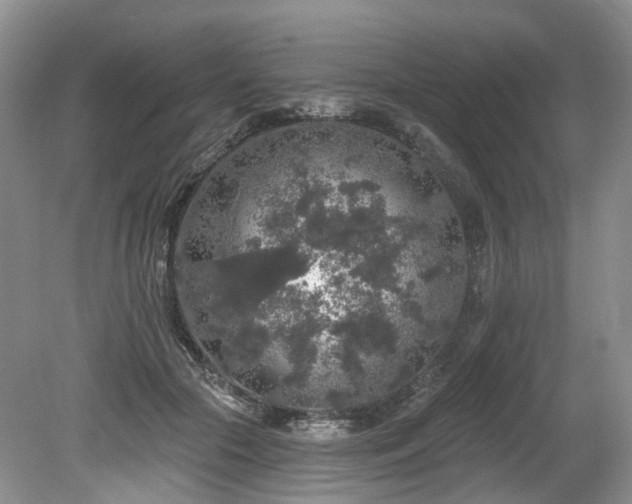 X0000080150553200612081324