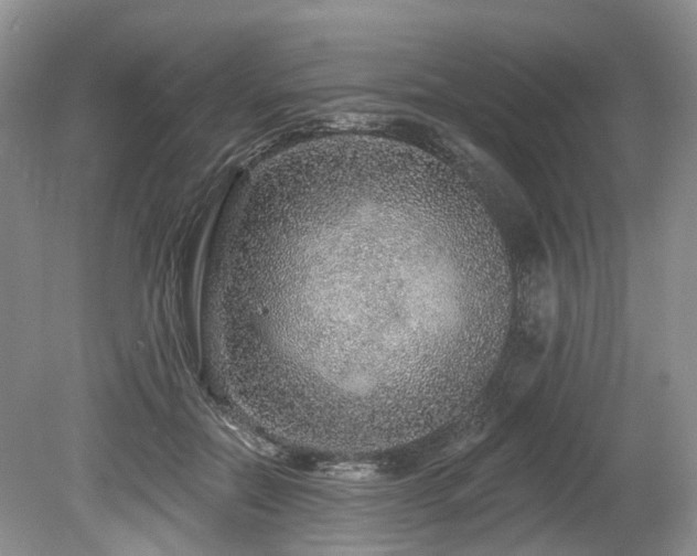 X0000080150554200612081324