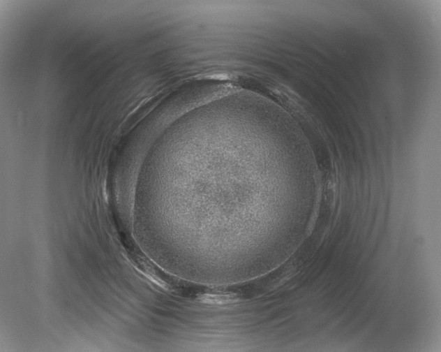 X0000080150556200612081324