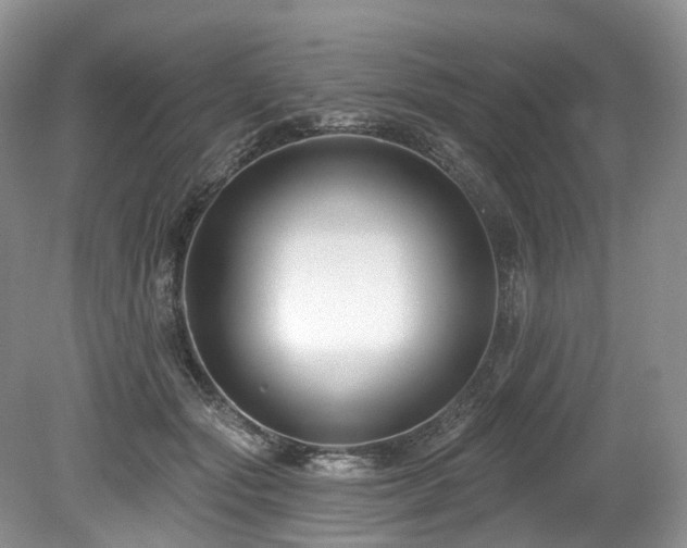 X0000080150557200612081324
