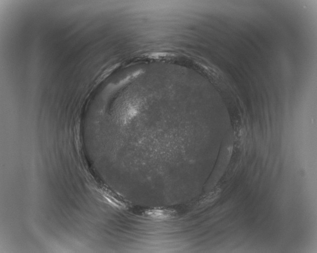 X0000080150558200612081324