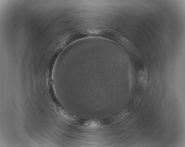 X0000080150559200612081324